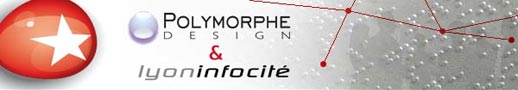 Polymorphe Design et Lyon Infocit&eacute; vous invitent